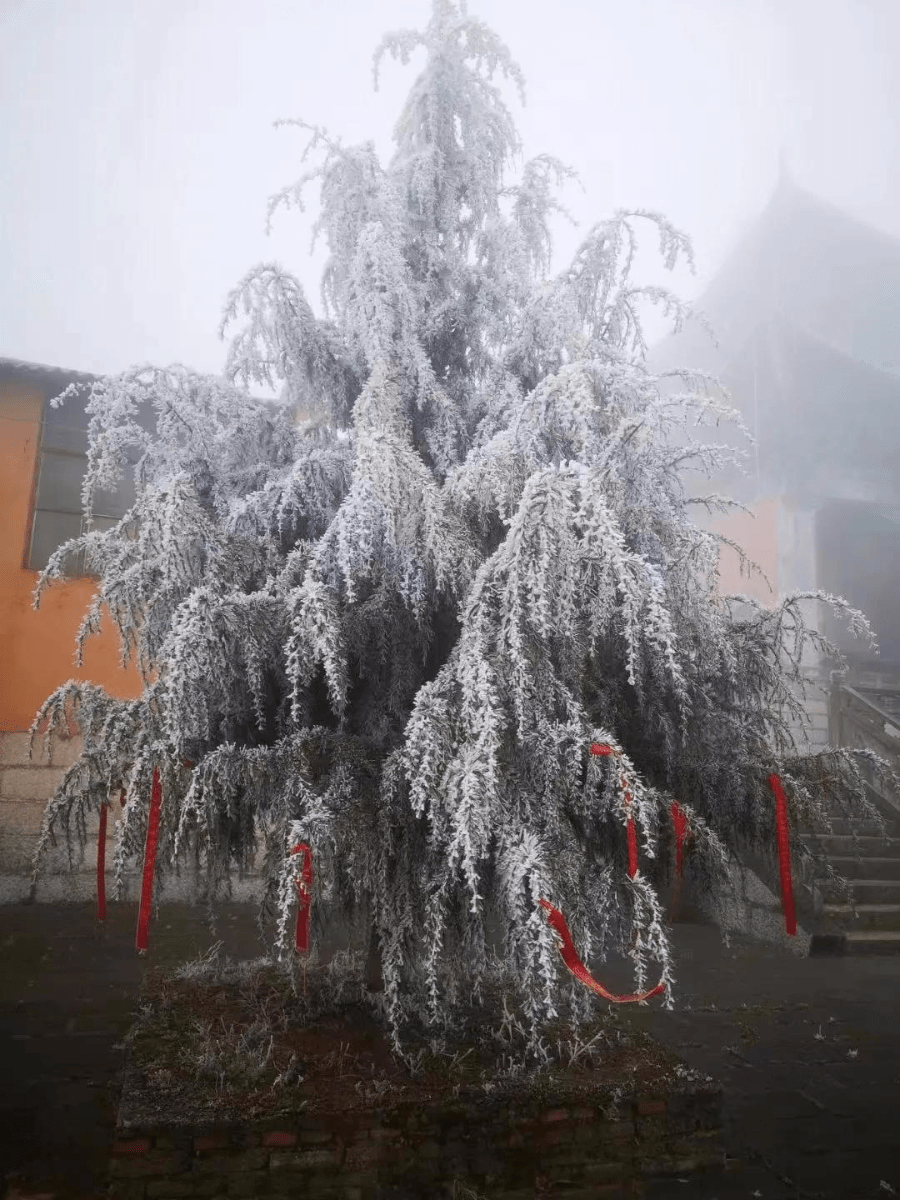 雪花|冬奥会里的那朵雪花飘到昆明来啦！ | 昆明文旅动态