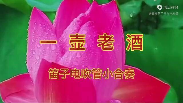 姐妹笛子与电吹管小合奏一壶老酒