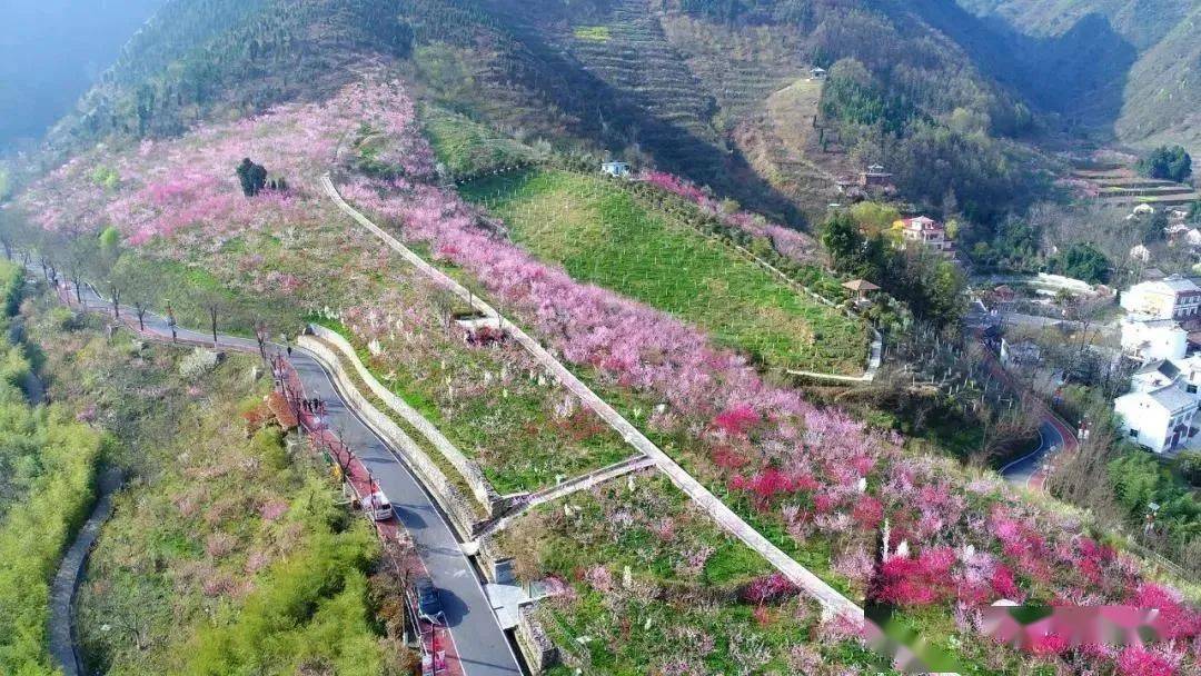 桃花谷景区被评定为我省首批水情教育基地_竹林关镇_丹凤县_示范