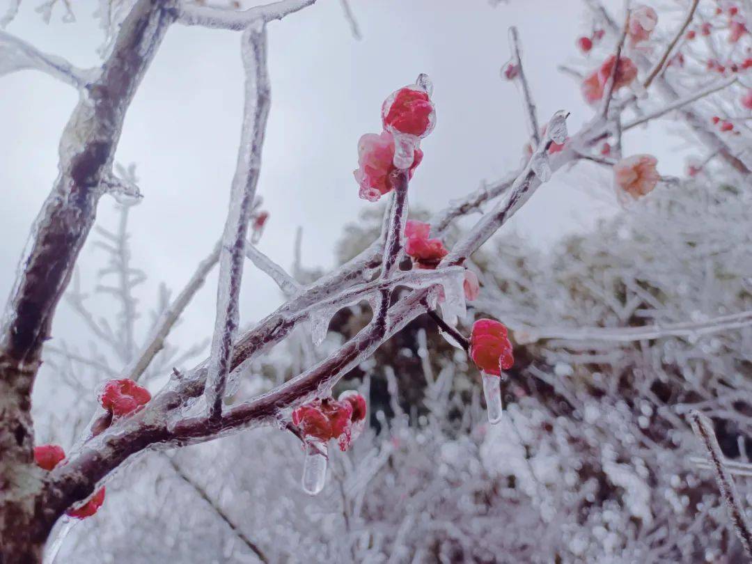 赣县宝莲山雪景图片