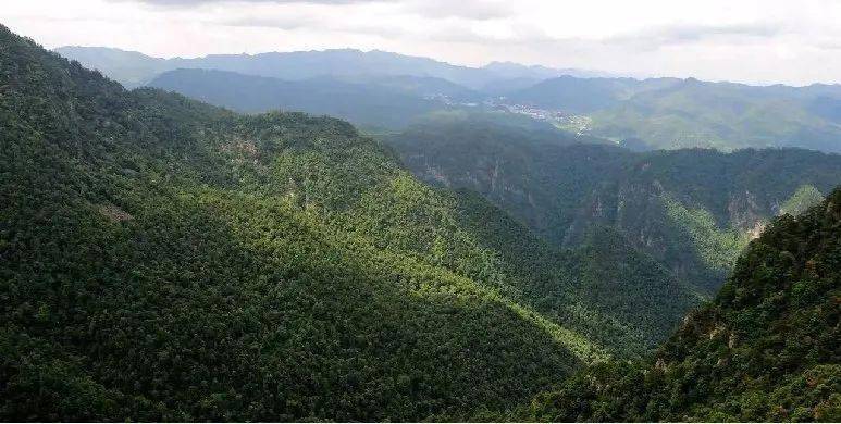 2021年度乡村旅游突出村社区柯坦镇虎洞村