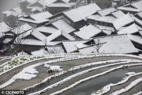 罗京来|贵州从江：雪落梯田美如画