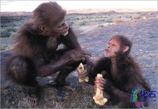 陕西古代文明文明摇篮人猿揖别