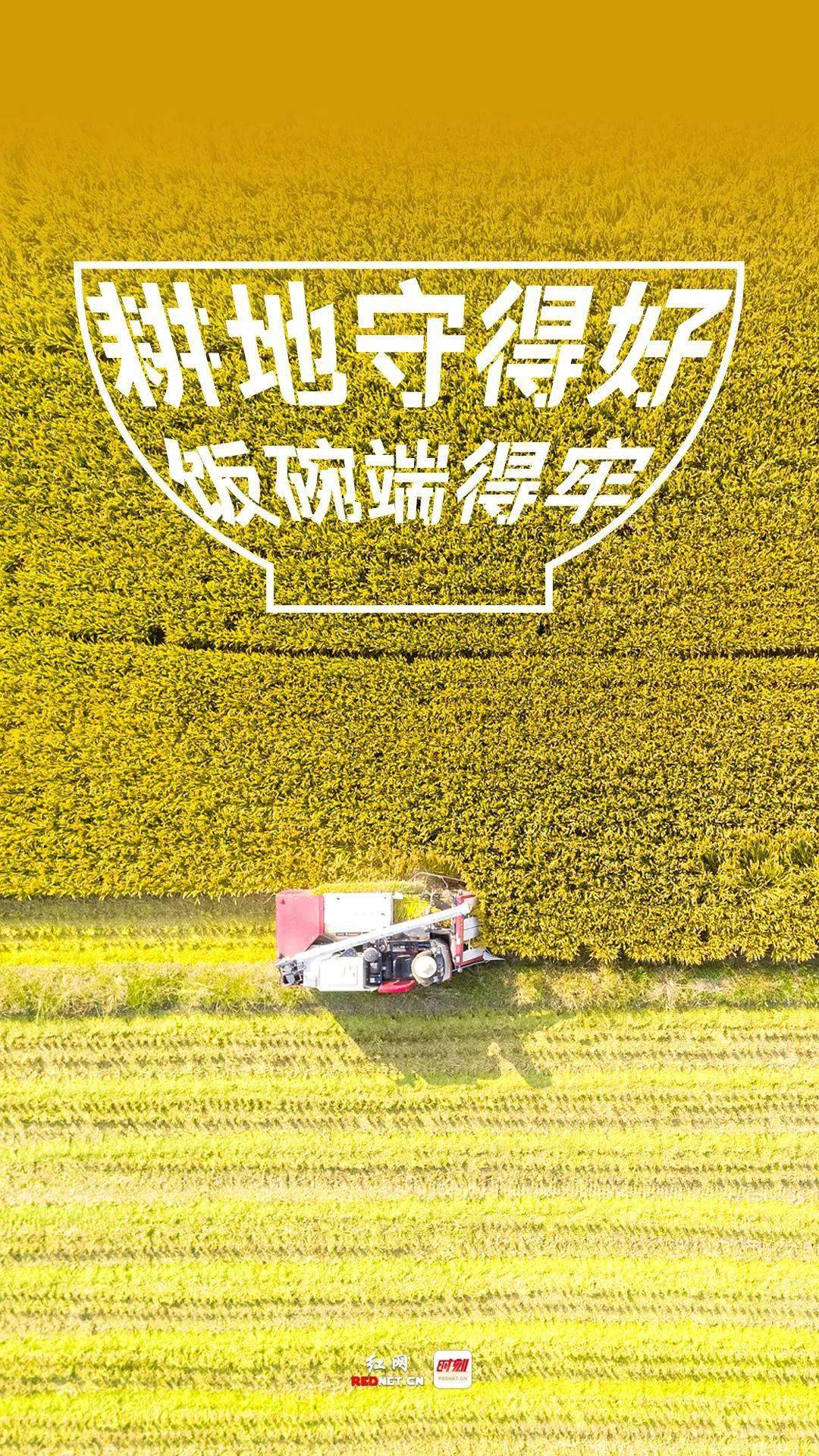 公益海报丨保障国家粮食安全严格保护耕地