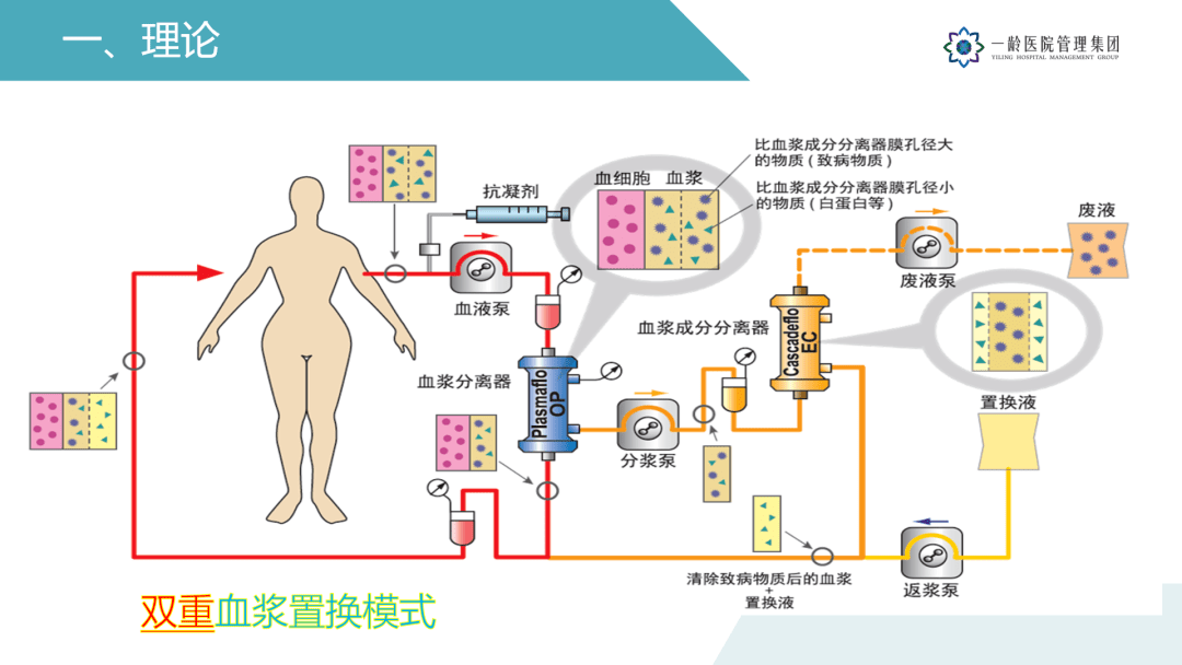净化的原理,操作环境和设备,并重点提到了"双重血浆置换模式"的特点