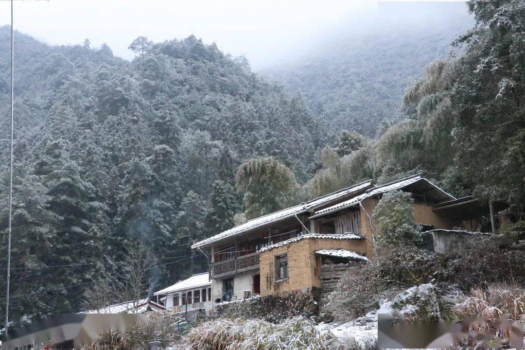 城北乡"一路向北"换新装 皑皑雪景美如画_龙泉市_乡村_叶菁燕