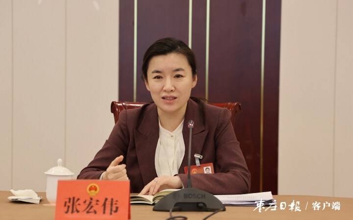 张宏伟参加山亭区代表团审议