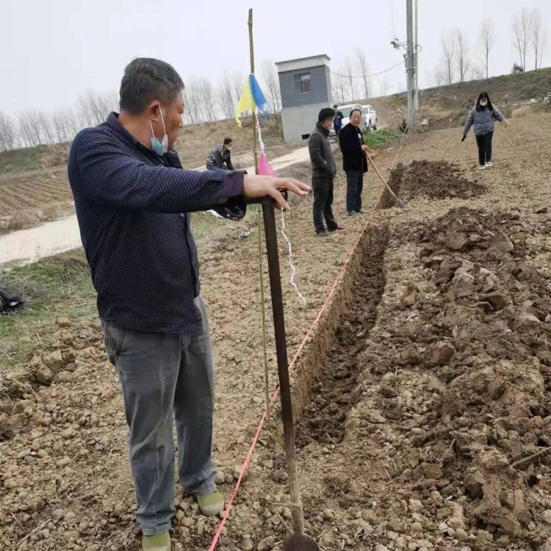 重磅：武松高速（蔡甸段）正式启动挖沟放线工作_高速公路_消泗乡_项目