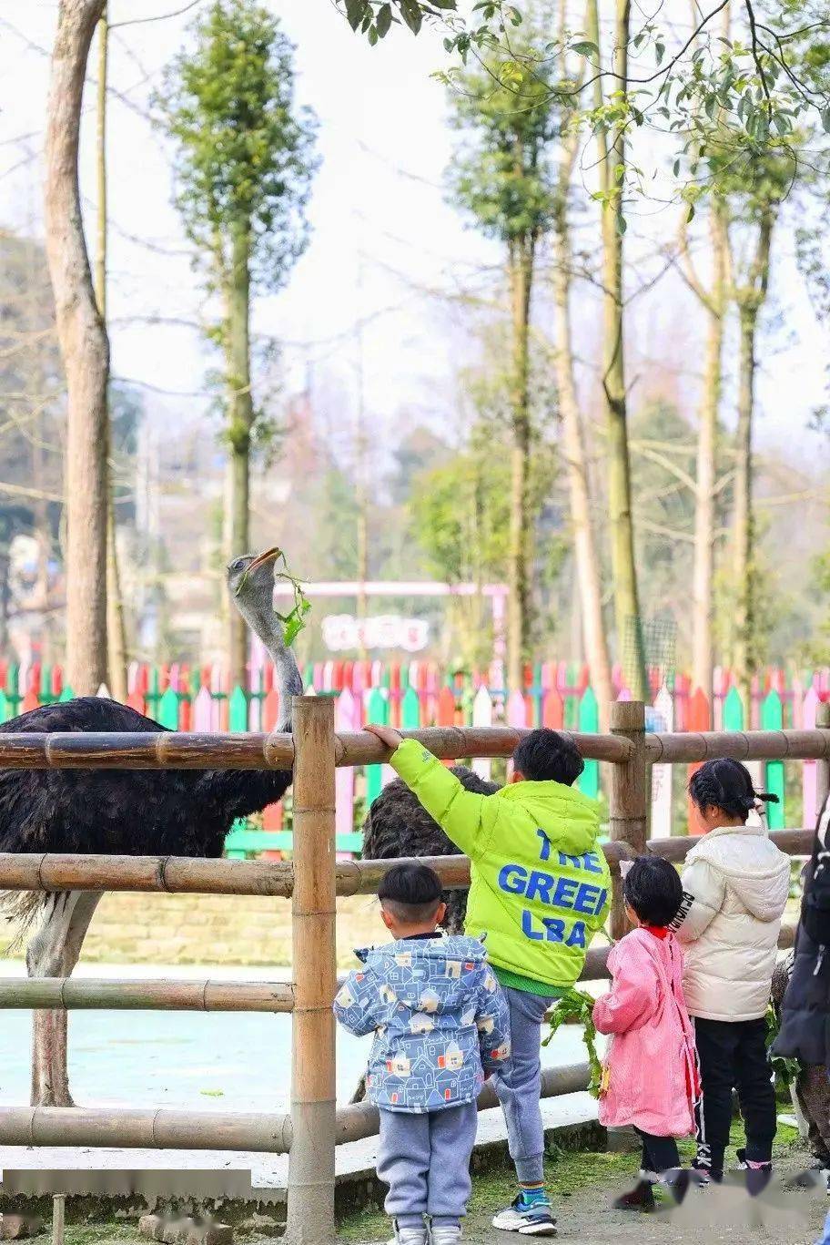 导航|都江堰春游私藏地！十里海棠、田园农场、地道乡味，春日新耍法都在这儿~