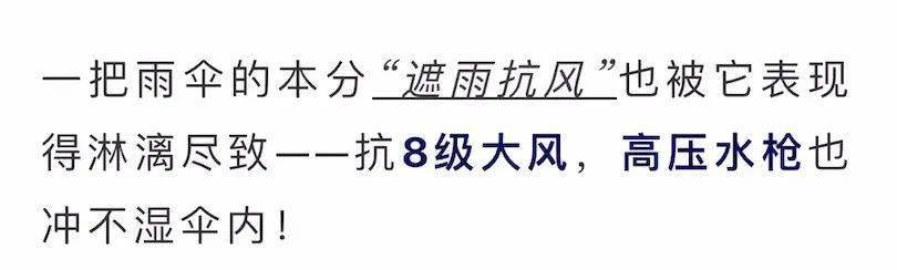 国产硬抗8级大风的国产硬核伞，质保十年！