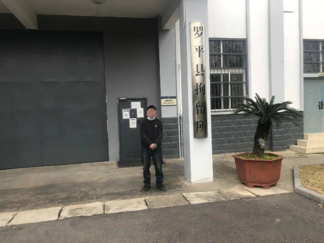 非法经营寻衅滋事赌博罗平阿岗这6人因为这些被抓