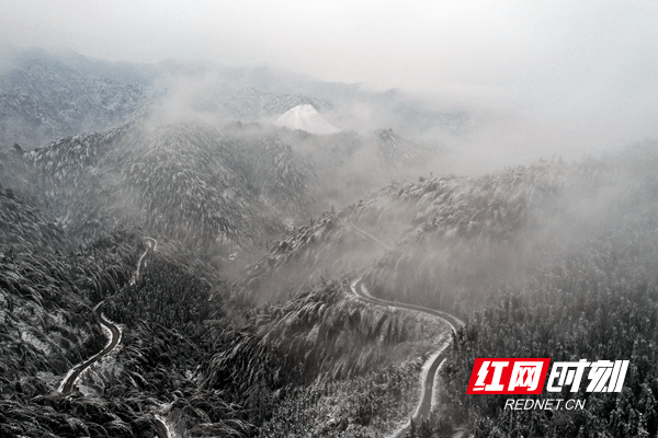 郑时|新田：水墨雪乡