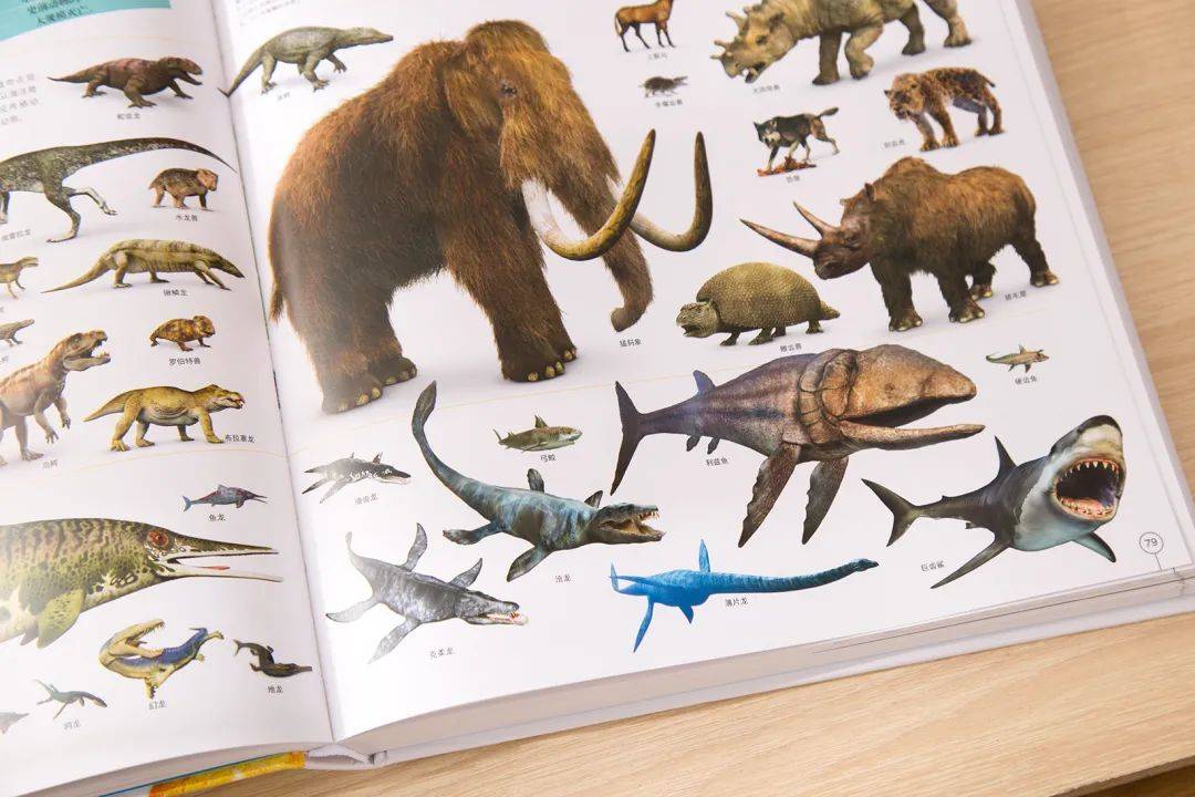 新京雅集——《DK万物大百科》+《DK知识大百科》：五折入手