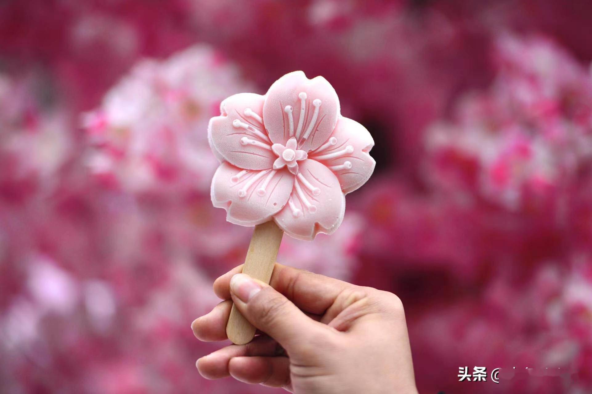 昆明圆通樱潮来袭打卡限定樱花雪糕樱嘤嘤