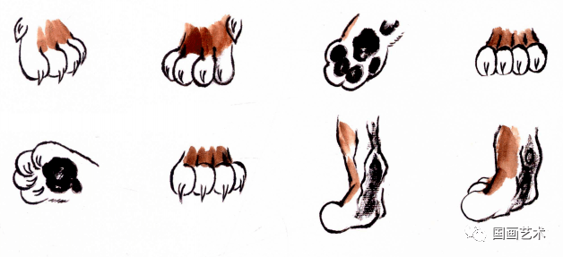 老虎的脚怎么画 锋利图片