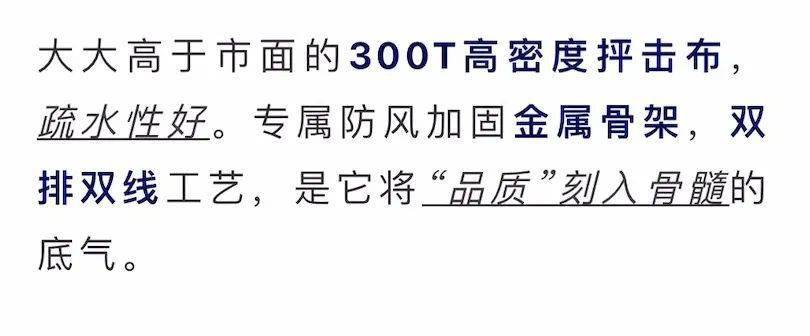 国产硬抗8级大风的国产硬核伞，质保十年！
