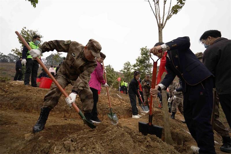 琦竣|南宁各界代表参与义务植树活动