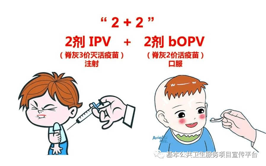 适龄儿童完成含ipv成分联合疫苗全程接种后,无需于4岁时再接种脊髓