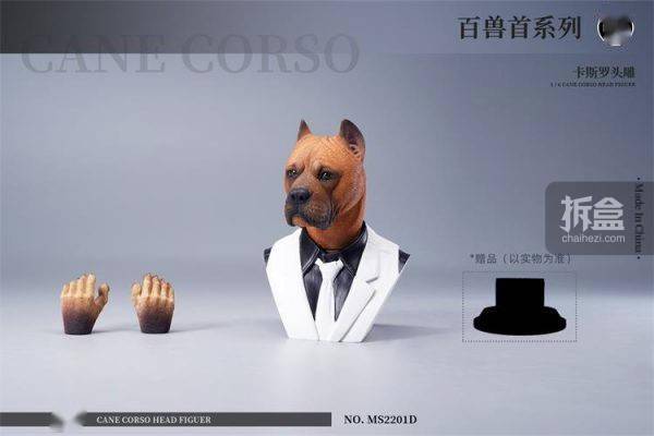 售价MOSTOYS 百兽首头雕 1/6卡斯罗犬头雕可动 兵人配件