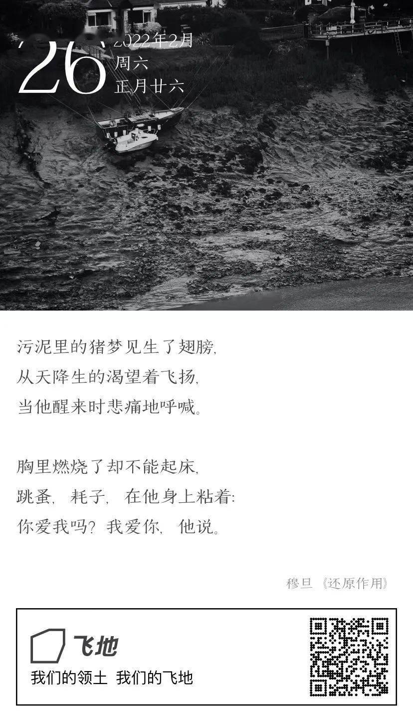 污泥里的猪梦见生了翅膀