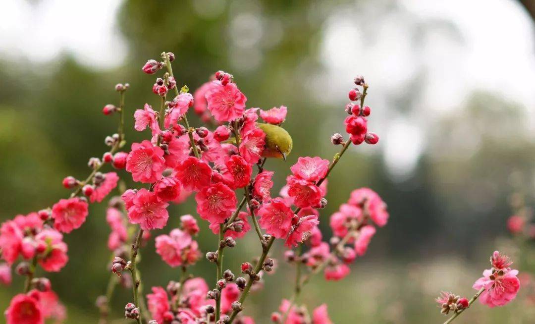 �������������д����ã�