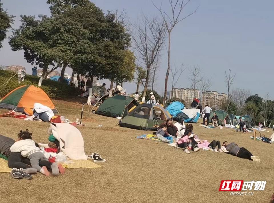 太阳|壮观！太阳一出来，草地上就“长”满了快发霉的湖南人