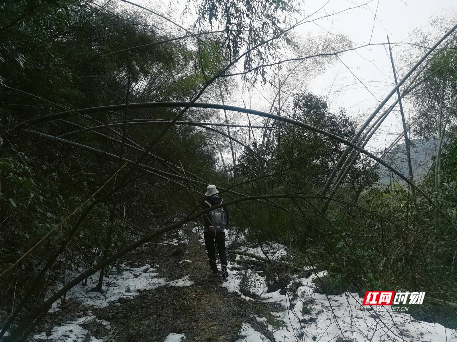 山风|满山残雪满山风 太和仙山风味别有一番