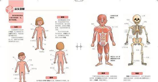 重磅|【童书】百年科普名社重磅力作，《法国拉鲁斯儿童百科全书》一本拯救爸爸妈妈们的书！