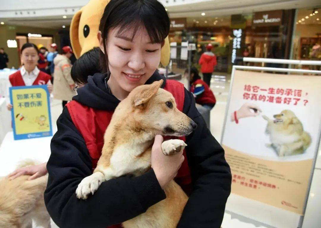 小細節大文明流浪動物救助禮儀篇