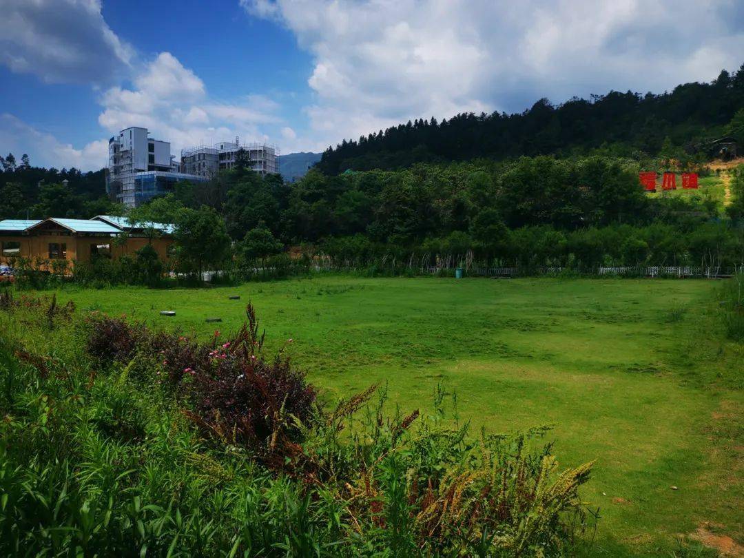 植树节在永泰幸福庄园种下幸福树