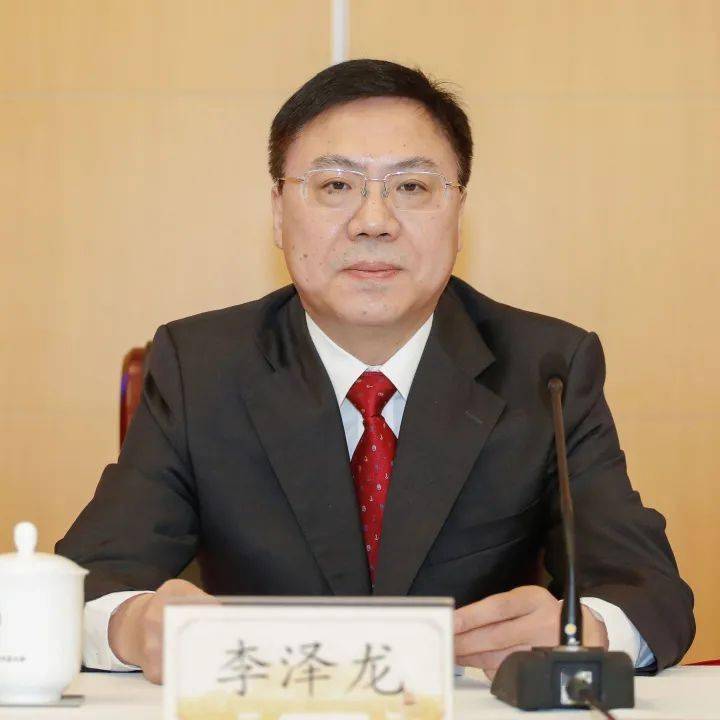 金山区区长李泽龙图片