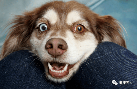 谁语文好来读读试试很有趣