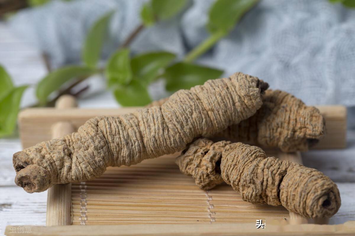春寒料峭送你一味仙茅在乍暖还寒的初春里也要阳气满满啊