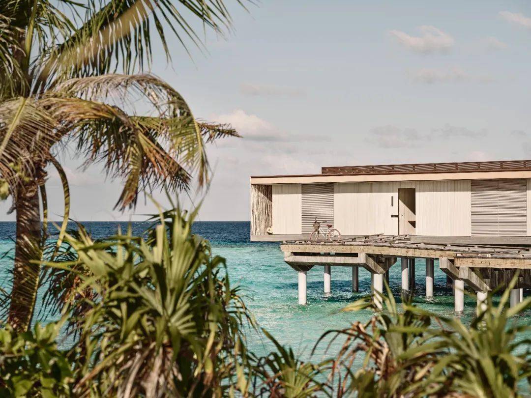 patinamaldives马尔代夫柏典酒店把度假村当作目的地度过24小时