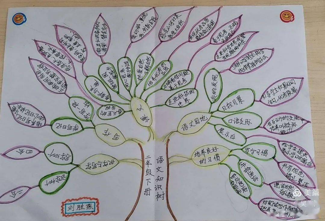 胜坨镇实验小学开展学课标,研教材,画知识树活动