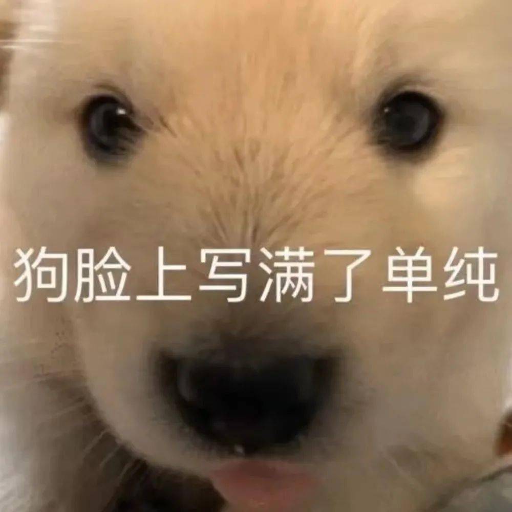 文章配图-32