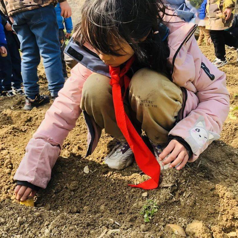 雙減丨開化縣林山鄉國芯希望小學勞動礪心智實踐促成長