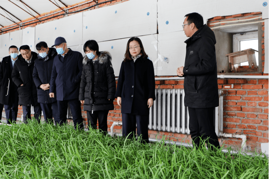 王宇鸿赴闫家岗农场调研农业现代化示范区建设