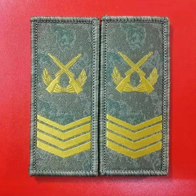 士兵军衔,全新亮相_军士_制度_列兵
