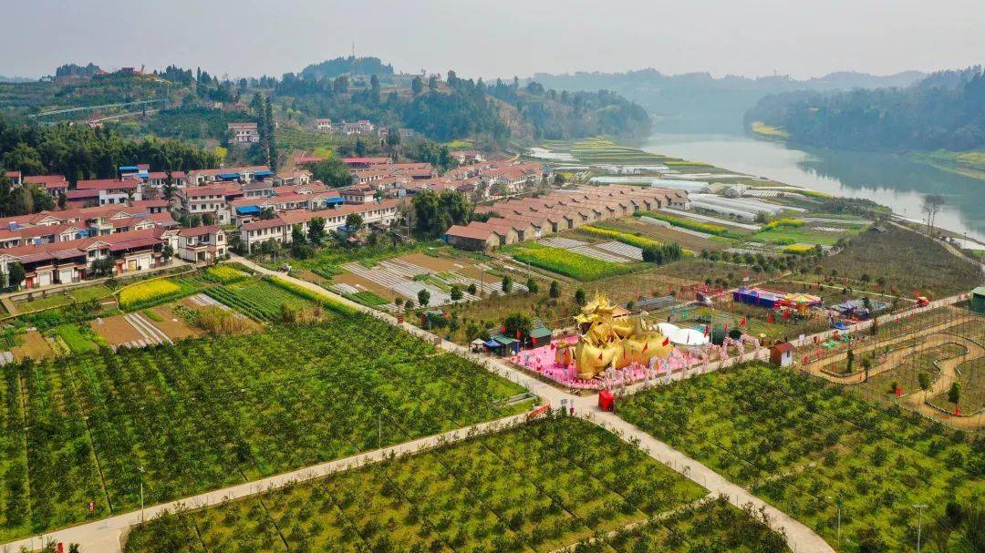 【美丽船城 可爱家乡】春日打卡胜地——重龙镇杨柳滩_资中_油菜花