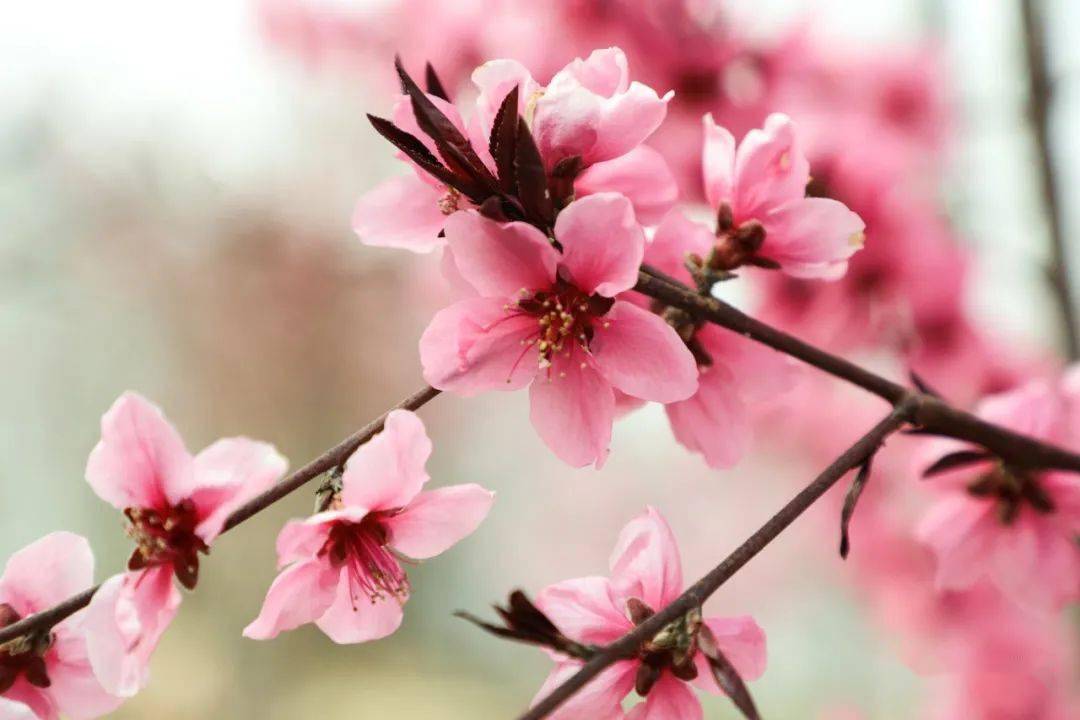 升了升了直冲20度