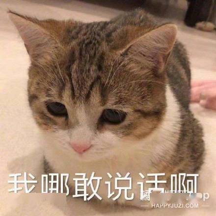 什么|可算知道这节目为啥请他了...