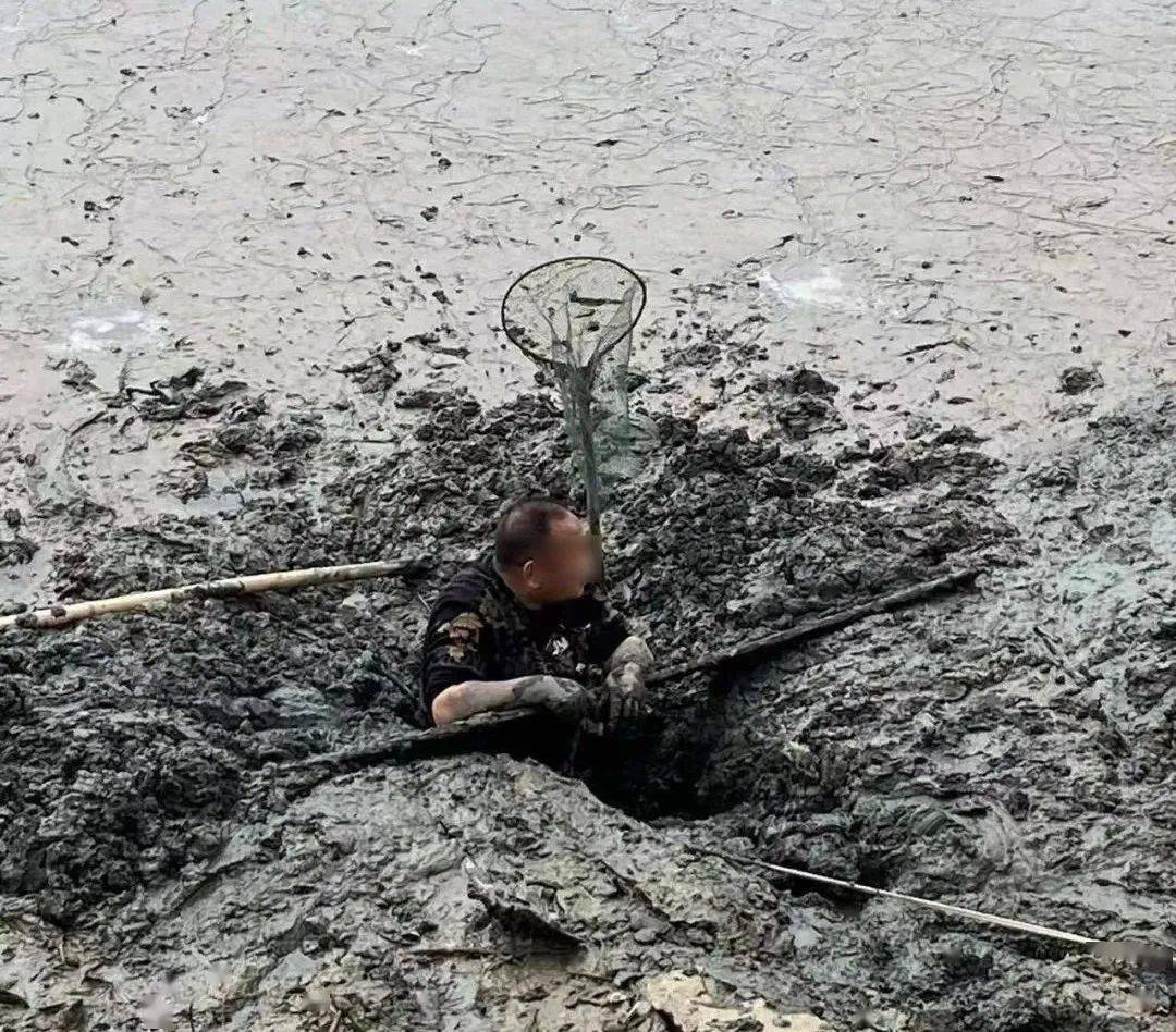 京山一男子深陷泥塘难以自拔关键时刻