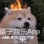 什么|可算知道这节目为啥请他了...