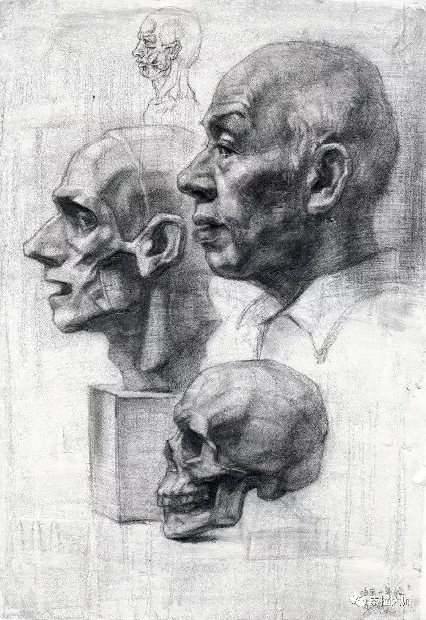 广州美术学院基础部头骨结构与人物肖像素描作品集一