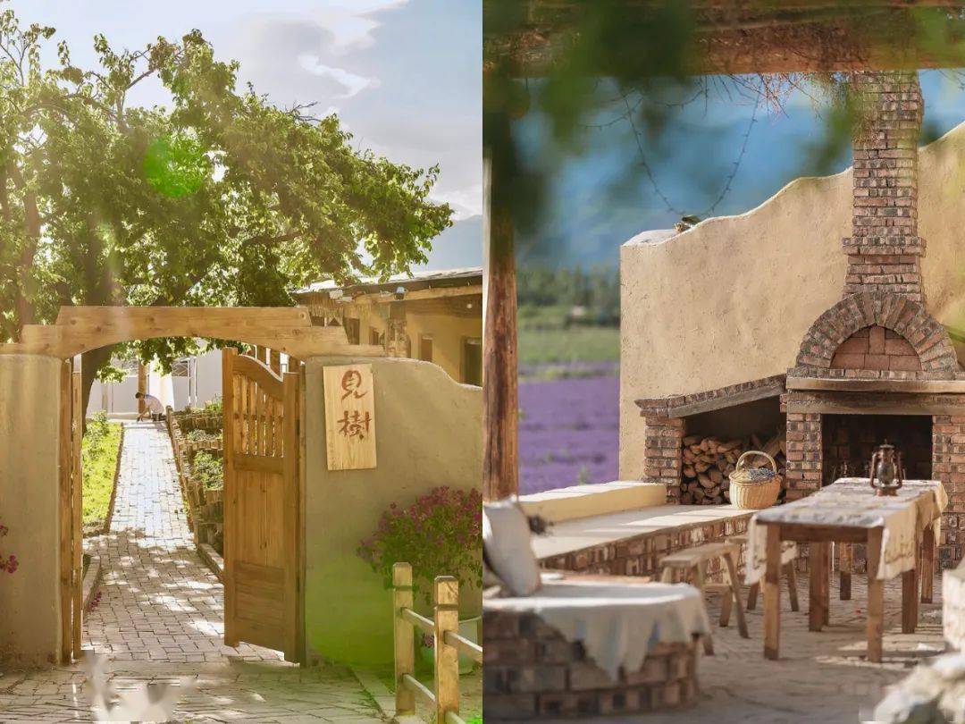 禾木|5个好友用6年，在新疆造了9个小院，开门就是薰衣草田，煮茶遛马回归乡野生活