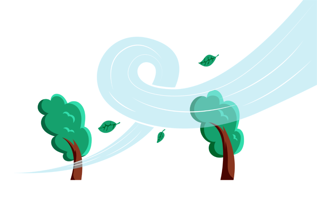 呼~~呼~~呼呼呼~~~~_开封_大风_影响