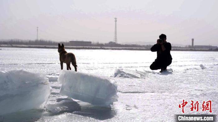 游客|春回大地 中国最大内陆淡水湖博斯腾湖出现推冰景观