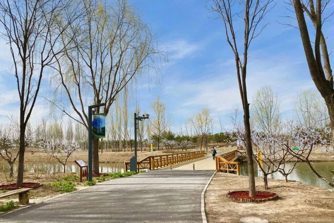 通州创森攻略来了副中心这些赏花观景的好去处快去打卡呀