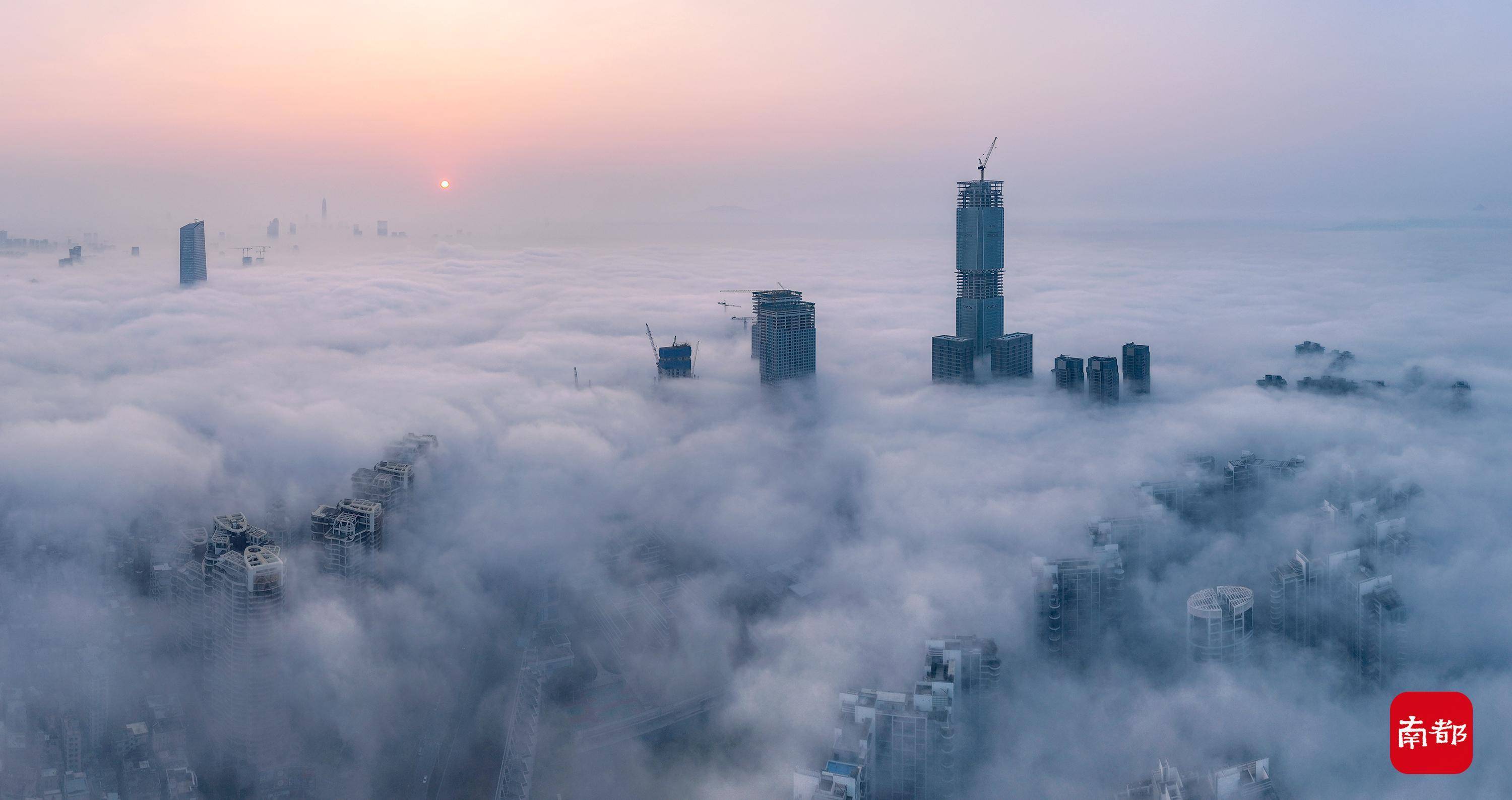 今日惊蛰:组图看粤澳两地现低空平流雾,雾中城市蔚为壮观